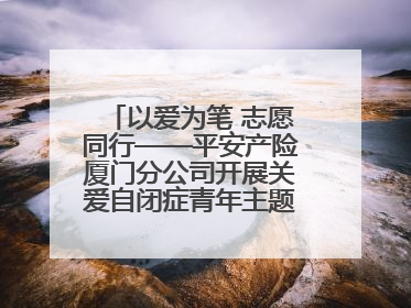 以爱为笔 志愿同行——平安产险厦门分公司开展关爱自闭症青年主题党日活动