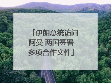 伊朗总统访问阿曼 两国签署多项合作文件