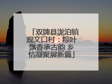 双牌县泷泊镇观文口村：粽叶飘香承古韵 乡情凝聚展新篇