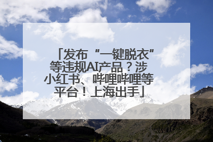发布“一键脱衣”等违规AI产品？涉小红书、哔哩哔哩等平台！上海出手