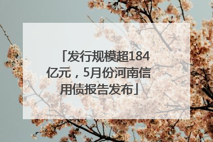 发行规模超184亿元，5月份河南信用债报告发布