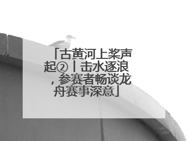 古黄河上桨声起②丨击水逐浪，参赛者畅谈龙舟赛事深意