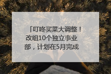叮咚买菜大调整！改组10个独立事业部，计划在5月完成App端全面改版