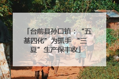 台前县孙口镇：“五基四化”为抓手 “三夏”生产保丰收