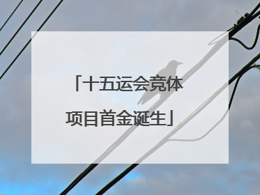 十五运会竞体项目首金诞生