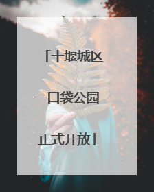 十堰城区一口袋公园正式开放