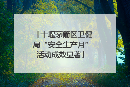 十堰茅箭区卫健局“安全生产月”活动成效显著