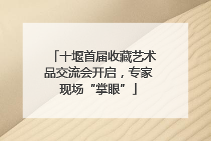 十堰首届收藏艺术品交流会开启，专家现场“掌眼”