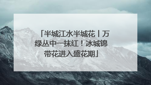 半城江水半城花丨万绿丛中一抹红！冰城锦带花进入盛花期