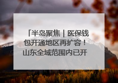 半岛聚焦｜医保钱包开通地区再扩容！山东全域范围内已开通，有何用处？如何操作？速戳→