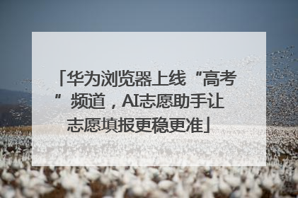 华为浏览器上线“高考”频道，AI志愿助手让志愿填报更稳更准