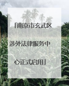 南京市玄武区涉外法律服务中心正式启用