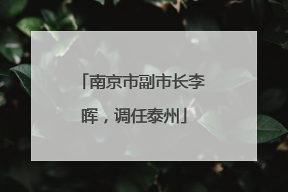 南京市副市长李晖，调任泰州