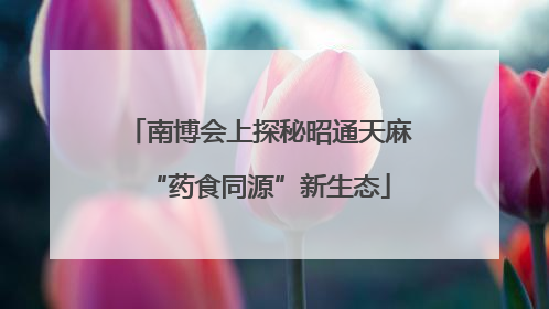 南博会上探秘昭通天麻“药食同源”新生态