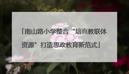 南山路小学整合“培真教联体资源”打造思政教育新范式