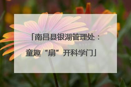 南昌县银湖管理处：童趣“扇”开科学门