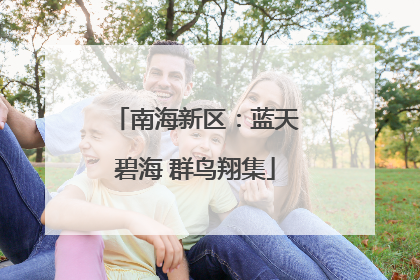 南海新区：蓝天碧海 群鸟翔集