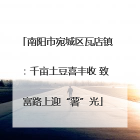 南阳市宛城区瓦店镇：千亩土豆喜丰收 致富路上迎“薯”光