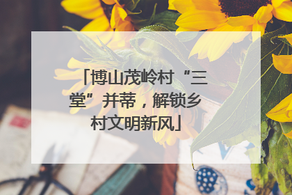 博山茂岭村“三堂”并蒂，解锁乡村文明新风
