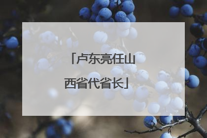 卢东亮任山西省代省长