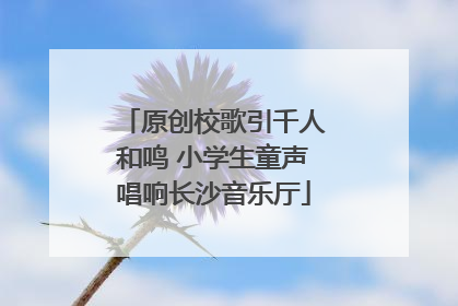 原创校歌引千人和鸣 小学生童声唱响长沙音乐厅