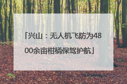 兴山：无人机飞防为4800余亩柑橘保驾护航