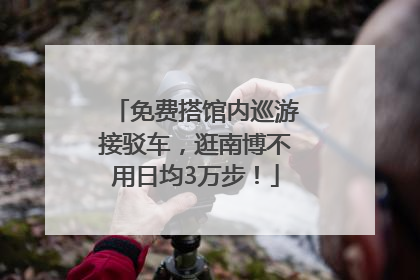 免费搭馆内巡游接驳车，逛南博不用日均3万步！