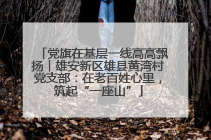 党旗在基层一线高高飘扬丨雄安新区雄县黄湾村党支部：在老百姓心里，筑起“一座山”