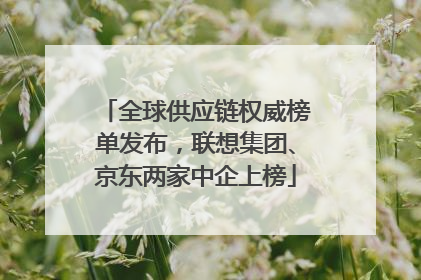 全球供应链权威榜单发布，联想集团、京东两家中企上榜