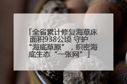 全省累计修复海草床面积938公顷 守护“海底草原”，织密海底生态“一张网”