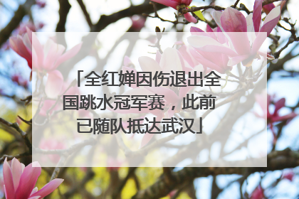 全红婵因伤退出全国跳水冠军赛，此前已随队抵达武汉