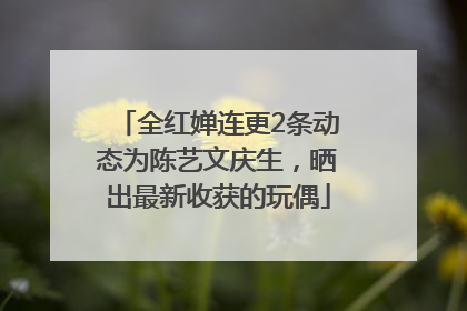 全红婵连更2条动态为陈艺文庆生，晒出最新收获的玩偶