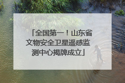 全国第一！山东省文物安全卫星遥感监测中心揭牌成立