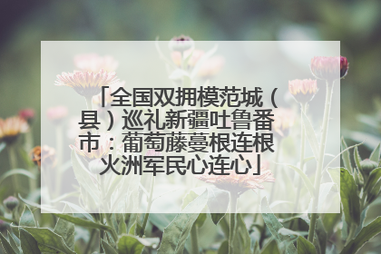 全国双拥模范城（县）巡礼新疆吐鲁番市：葡萄藤蔓根连根 火洲军民心连心