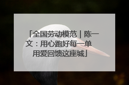 全国劳动模范｜陈一文：用心跑好每一单 用爱回馈这座城