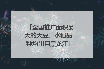 全国推广面积最大的大豆、水稻品种均出自黑龙江