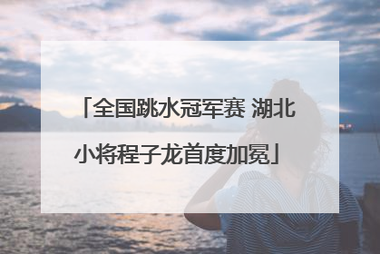 全国跳水冠军赛 湖北小将程子龙首度加冕