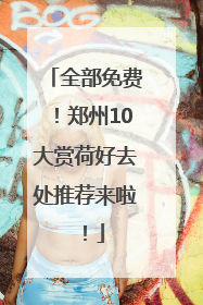 全部免费！郑州10大赏荷好去处推荐来啦！