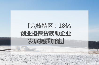 六枝特区：18亿创业担保贷款助企业发展提质加速