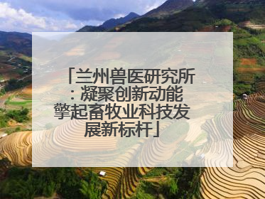 兰州兽医研究所：凝聚创新动能 擎起畜牧业科技发展新标杆