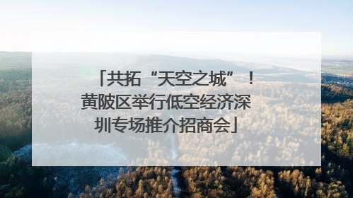 共拓“天空之城”！黄陂区举行低空经济深圳专场推介招商会