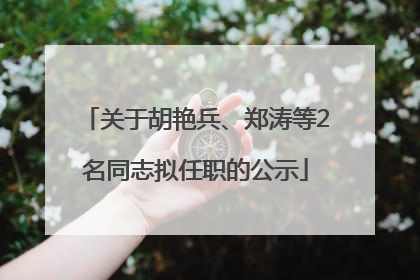 关于胡艳兵、郑涛等2名同志拟任职的公示
