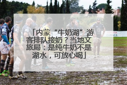 内蒙“牛奶湖”游客排队接奶？当地文旅局：是纯牛奶不是湖水，可放心喝