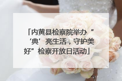 内黄县检察院举办“‘典’亮生活，守护美好”检察开放日活动
