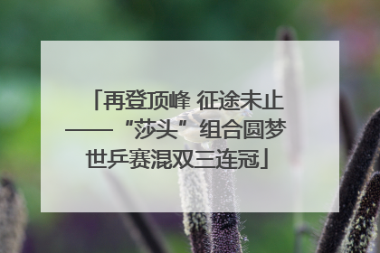 再登顶峰 征途未止——“莎头”组合圆梦世乒赛混双三连冠