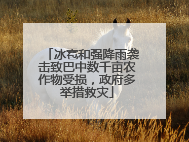 冰雹和强降雨袭击致巴中数千亩农作物受损，政府多举措救灾