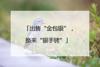 出售“金包银”，换来“银手铐”