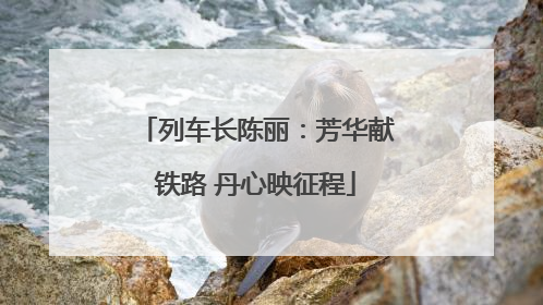 列车长陈丽：芳华献铁路 丹心映征程