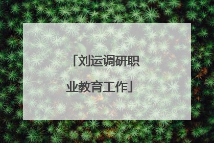 刘运调研职业教育工作