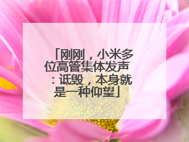 刚刚，小米多位高管集体发声：诋毁，本身就是一种仰望